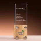 ��ǰ ����3