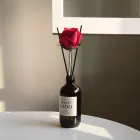 ��ǰ ����3
