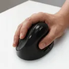 ��ǰ ����3