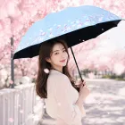 ��ǰ ����3