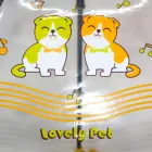 ��ǰ ����4