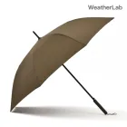 ��ǰ ����4