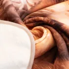 ��ǰ ����4