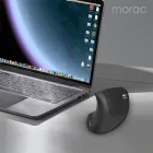 ��ǰ ����4