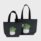 ��ǰ ����4