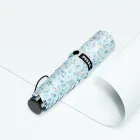 ��ǰ ����4