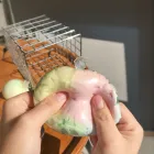 ��ǰ ����4