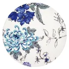 ��ǰ ����5