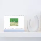 ��ǰ ����5