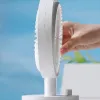 ��ǰ ����5