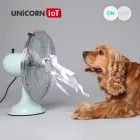 ��ǰ ����5
