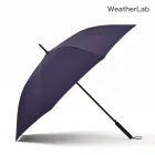 ��ǰ ����5