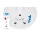 ��ǰ ����5