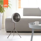 ��ǰ ����5