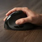 ��ǰ ����5