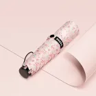 ��ǰ ����5