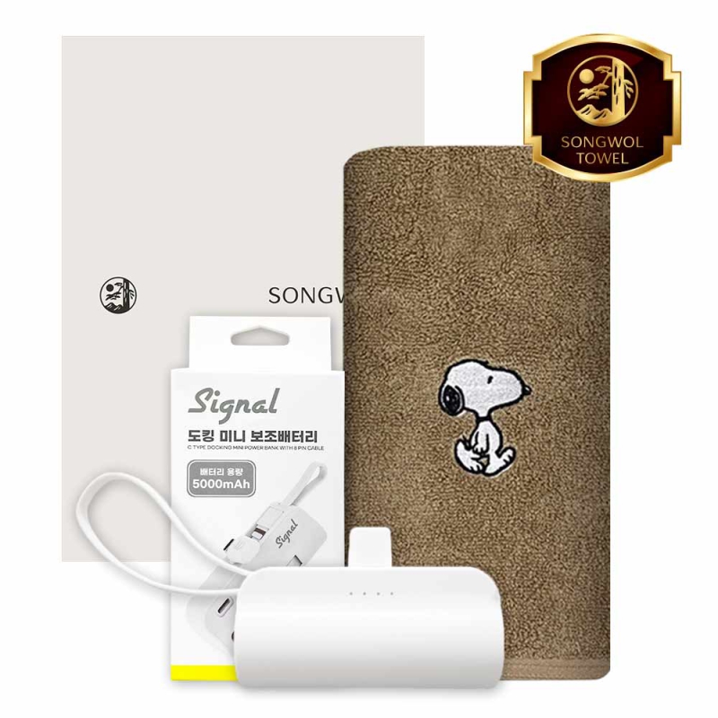 ����/Ÿ�� Ÿ�ü�����Ʈ [�ۿ�] ��ŷ�������͸� 5000mAh ��Ʈ (�����Ǹ���40 Ÿ�� 1�� + ��ŷ�������͸� 1��) ��ǰ ����