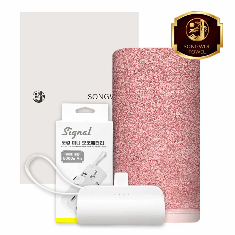 ����/Ÿ�� Ÿ�ü�����Ʈ [�ۿ�] ��ŷ�������͸� 5000mAh ��Ʈ (40�� 180g Ÿ�� 1�� + ��ŷ�������͸� 1��) ��ǰ ����