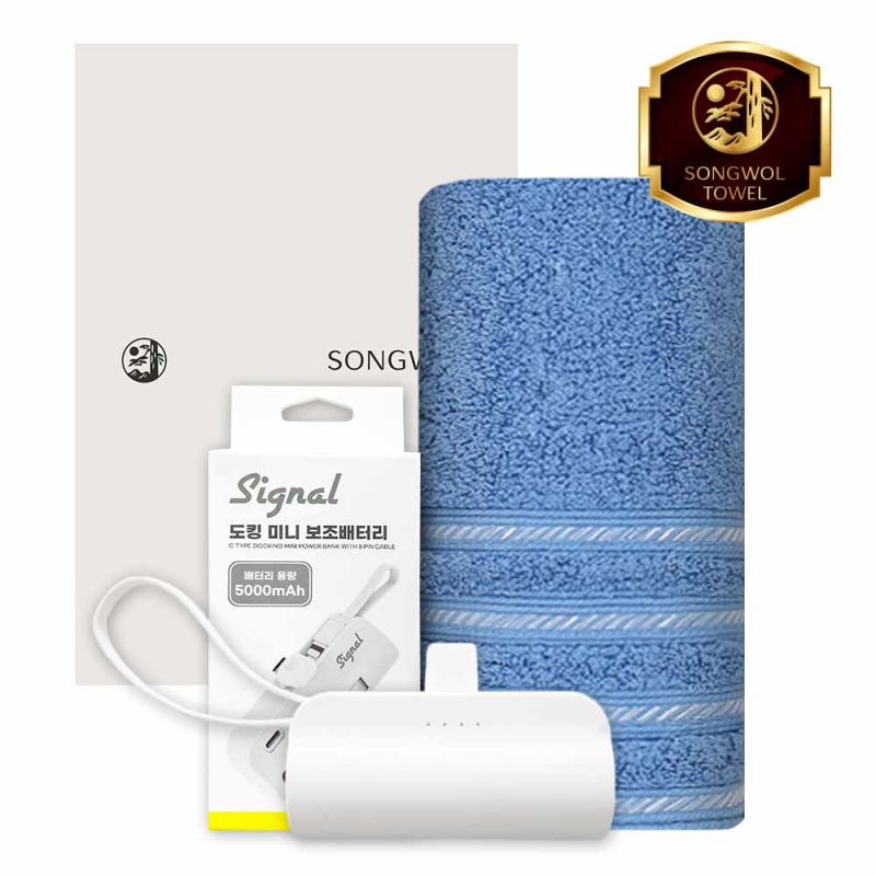 ����/Ÿ�� Ÿ�ü�����Ʈ [�ۿ�] ��ŷ�������͸� 5000mAh ��Ʈ (���ʶ����40 Ÿ�� 1�� + ��ŷ�������͸� 1��) ��ǰ ����