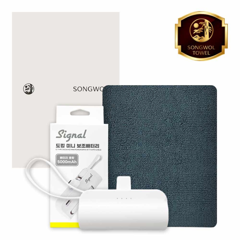 ����/Ÿ�� Ÿ�ü�����Ʈ [�ۿ�] ��ŷ�������͸� 5000mAh ��Ʈ (�÷�����30 Ÿ�� 1�� + ��ŷ�������͸� 1��) ��ǰ ����