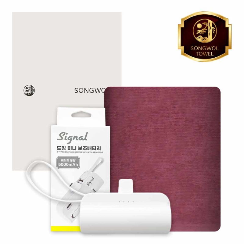 ����/Ÿ�� Ÿ��/��Ÿ��Ʈ [�ۿ�] ��ŷ�������͸� 5000mAh ��Ʈ (���̿�32 �ٿ뵵 Ÿ�� 1�� + ��ŷ�������͸� 1��) ��ǰ ����