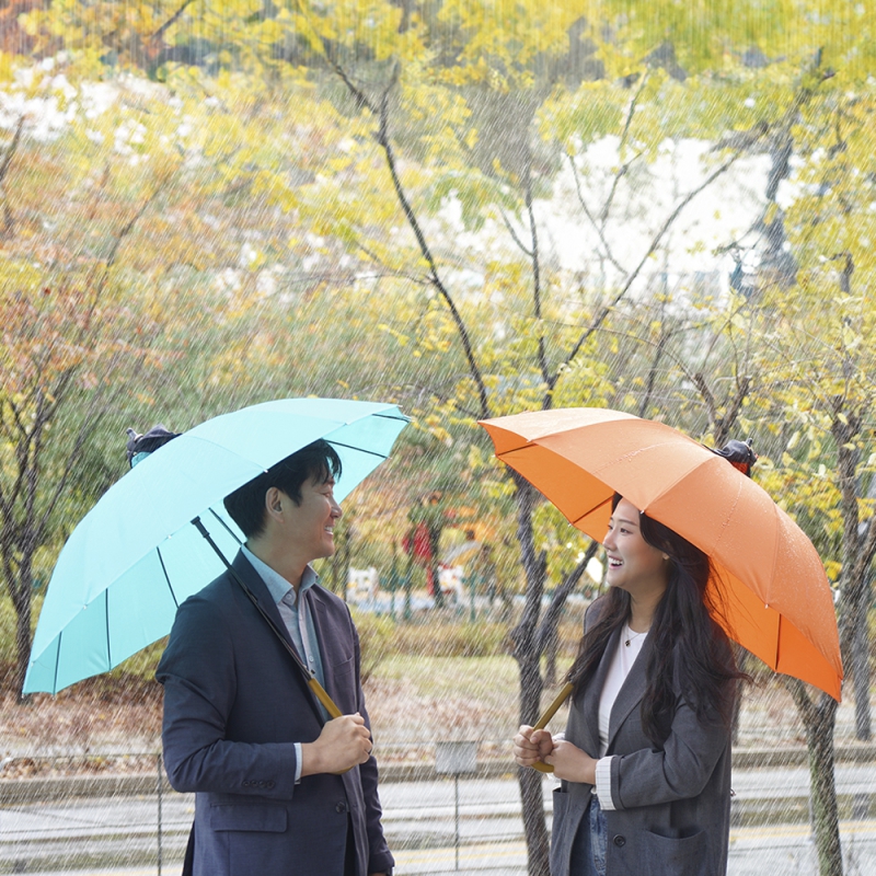  Ƶ/    Ŀ ĸ  55x14k ưư Ƶ  ʵл  ǰ 