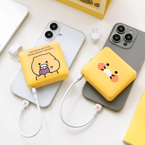 귣庰 /ǰ īī [īī]   ̴ ͸ 10000mAh 2 ǰ 