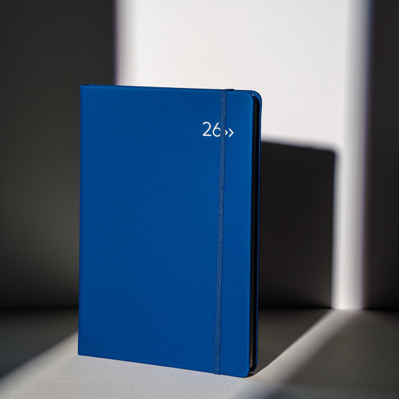 ̾/ø/Ʈ ̾ 2026 DV PRO3÷ 25 ̾ Ʈ ǰ 
