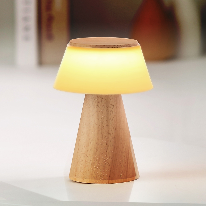 Ȱ /ٵ ö ī  ׸   LED  CŸ  JS-i141 ǰ 