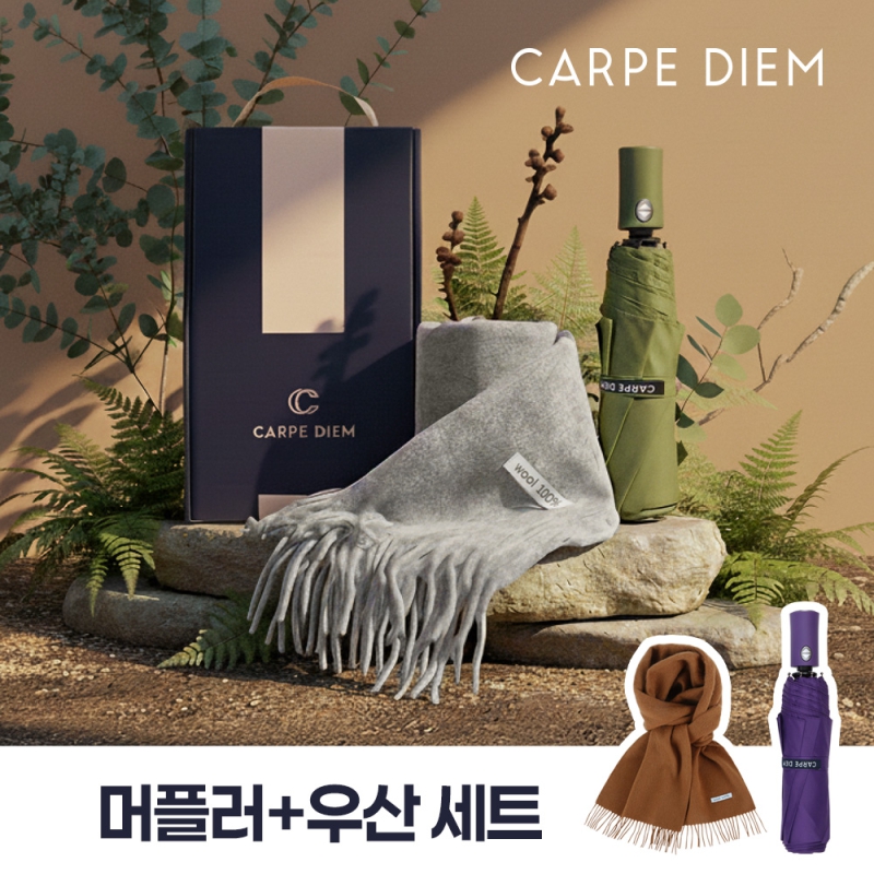  /Ÿ Ʈ ī ÷ Ʈ (3S024) ǰ 