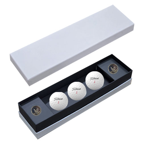 ǰ  ŸƲƮ PRO V1x 3 Ŀ 2  ιٸ̽ TVX3B2 ǰ 