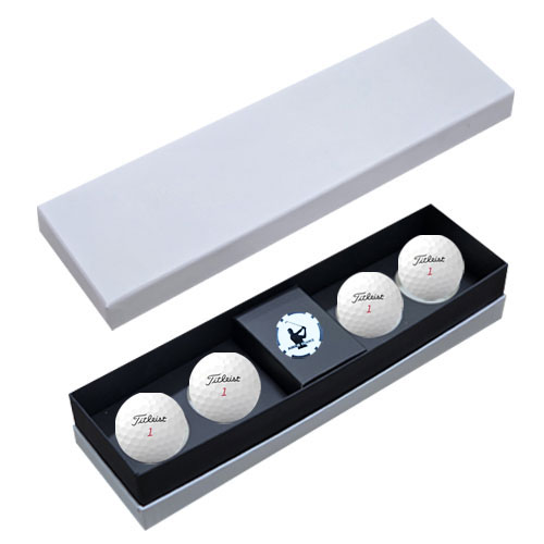 ǰ  ŸƲƮ PRO V1x 4 ĿĨ  ιٸ̽ TVX4BC1 ǰ 