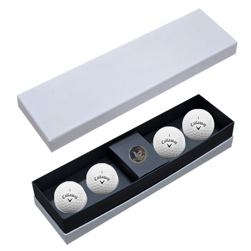 ǰ  Ķ  4 Ŀ  ιٸ̽ CW4B1 ǰ 