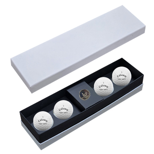 ǰ  Ķ ERC TT 4 Ŀ  ιٸ̽ CE4B1 ǰ 