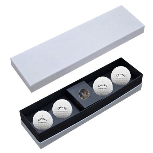 ǰ  Ķ ũ TT 4 Ŀ  ιٸ̽ CC4B1 ǰ 