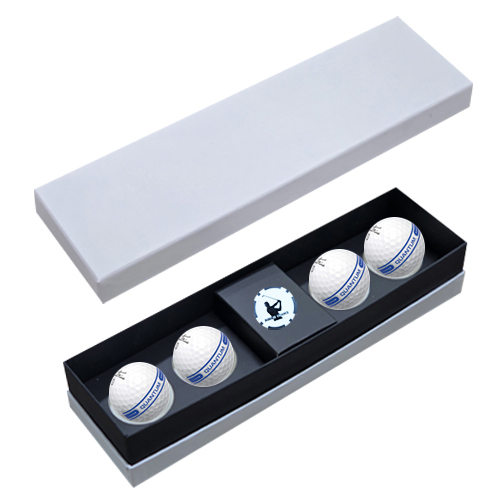 ǰ  Ʈ  4 ĿĨ  ιٸ̽ SQ4BC1 ǰ 