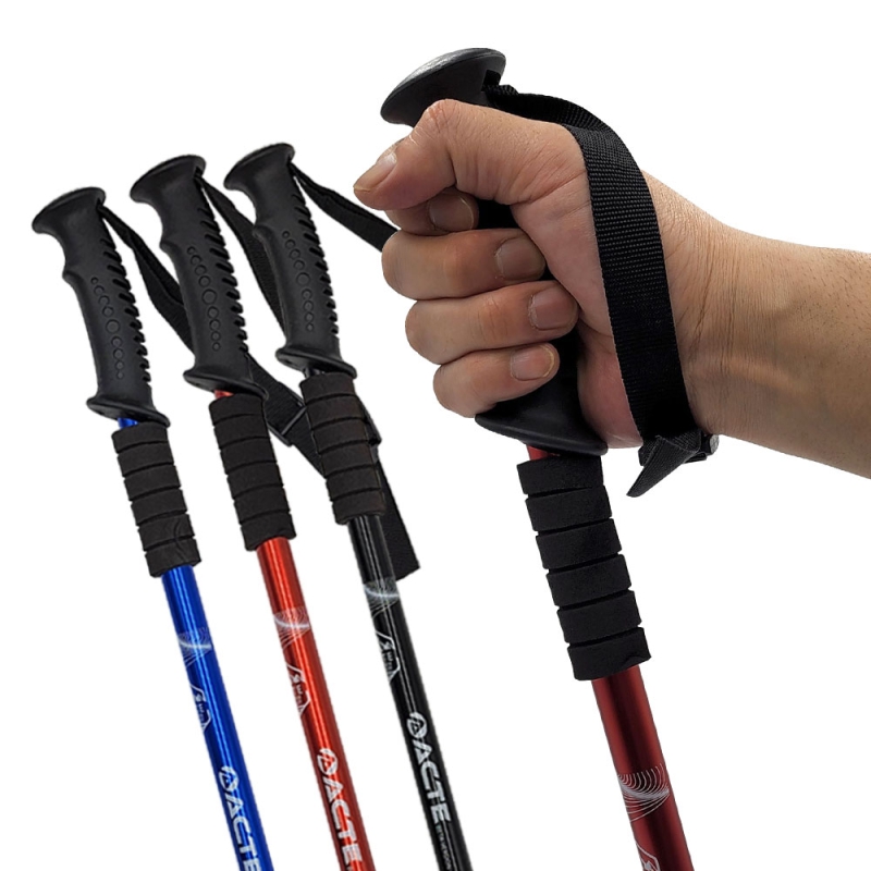 ķ/ǰ ǰ 꽺ƽ Ʈ 3  꽺ƽ CA-2201  1p ǰ 