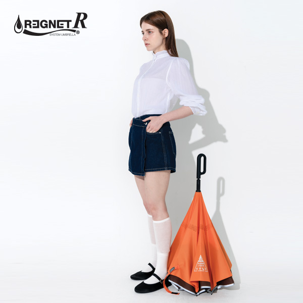 ��� ���� [REGNET] ���׳� R. �Ųٷ� ���(����). ���� ��ǰ ����