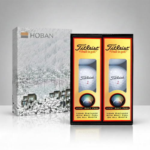 ������ǰ ������ [����]Ÿ��Ʋ����Ʈ HVC 6����Ʈ ��ǰ ����