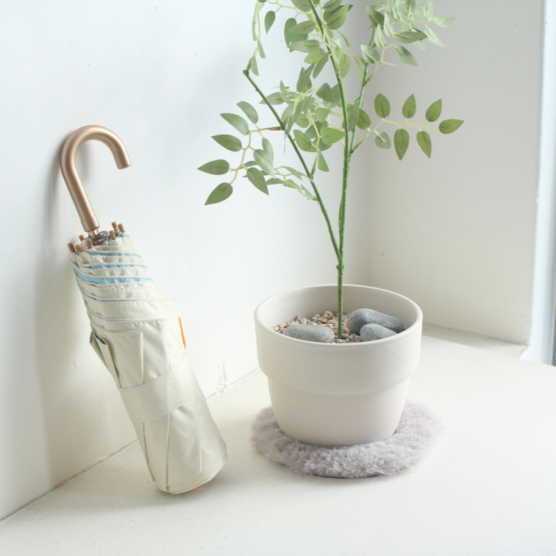 ��� 3��/5�ܿ�� ����(���) ������ ��ǰ ����