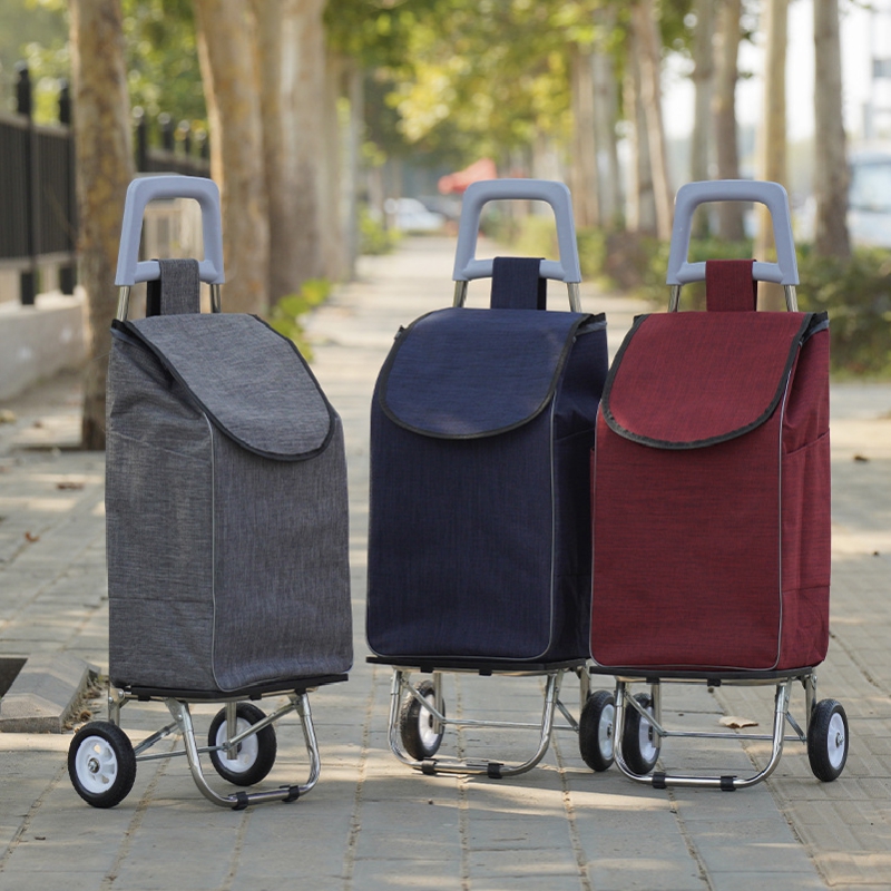 ���ڹ�/���ι� ��ٱ���/ĳ���� ĳ���� ��ٱ��� (Blossom) ���� �и��� ���̽� ��ٱ��� ĳ���� 1P ��ǰ ����