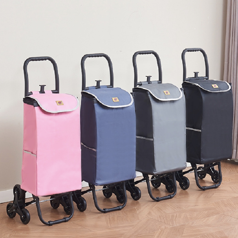 ���ڹ�/���ι� ��ٱ���/ĳ���� ĳ���� ��ٱ��� (Blossom) ��뷮 ���ú��� ���̽� ��ٱ��� ĳ���� 1P ��ǰ ����