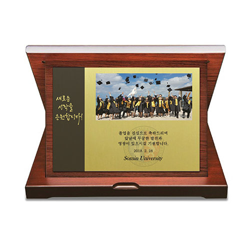 ����/����/����/���� ���� ���� ��������� TR-G-G01 ������ ����� ���̽��μ� ��ǰ ����