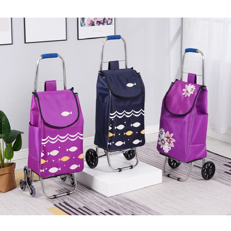 ���ڹ�/���ι� ��ٱ���/ĳ���� ĳ���� ��ٱ��� Blossom ����ó ���� ��ٱ��� ĳ���� 1P ��ǰ ����