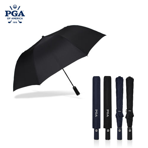 ��� 2�ܿ�� PGA 2���ڵ��������� 2�ܿ��(��ǳ���) ��ǰ ����