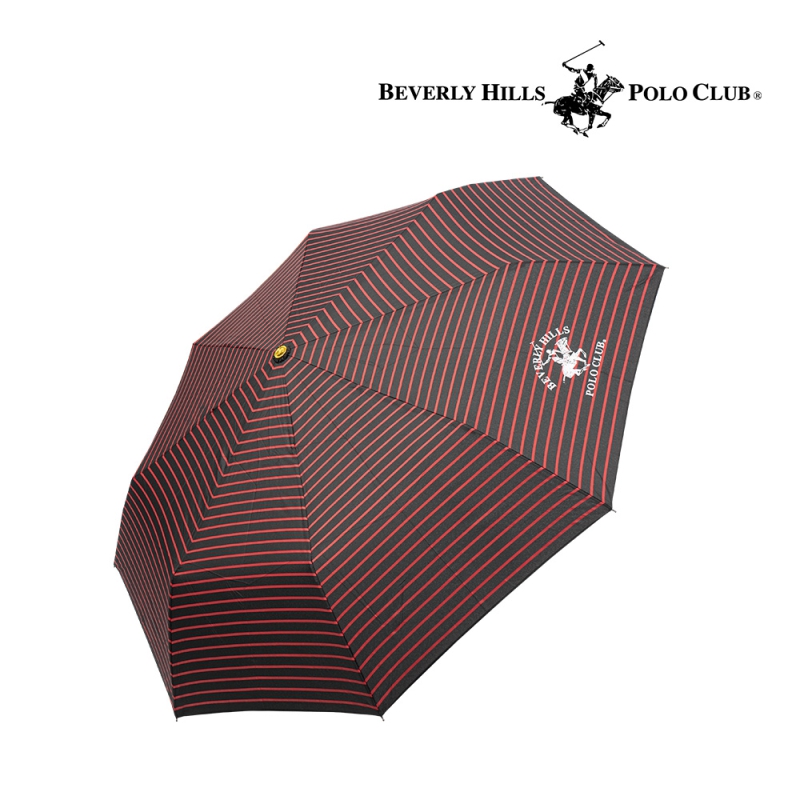 ��ǰ ����