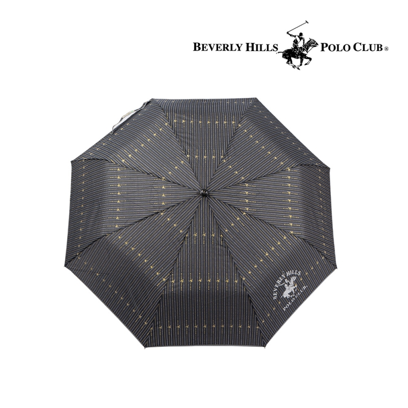 ��ǰ ����