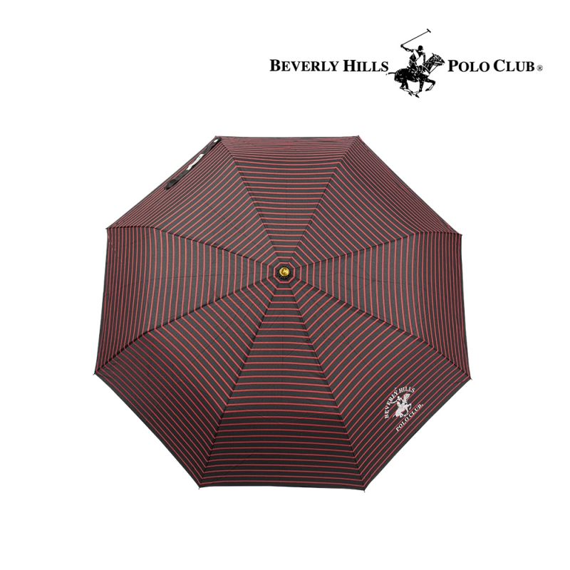 ��ǰ ����