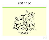  Ƿ ̿ |  Ŀġ_Ǯ 200x130mm