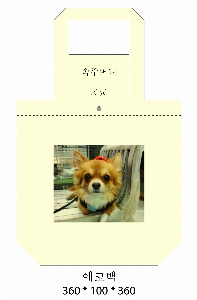 ÀÎ¼â ½Ã¾È À̹ÌÁö 6651